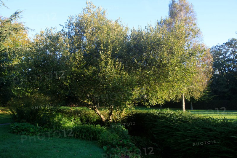 Valognes, Manche, France