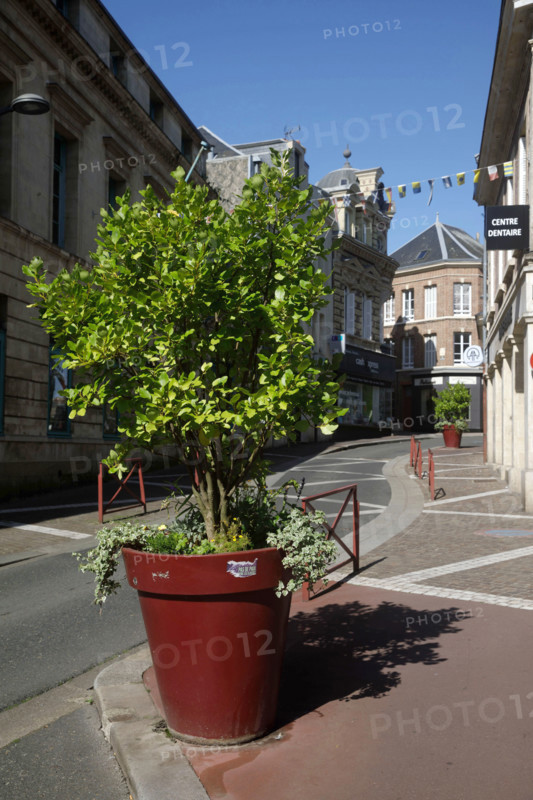 Fécamp, Normandy, France