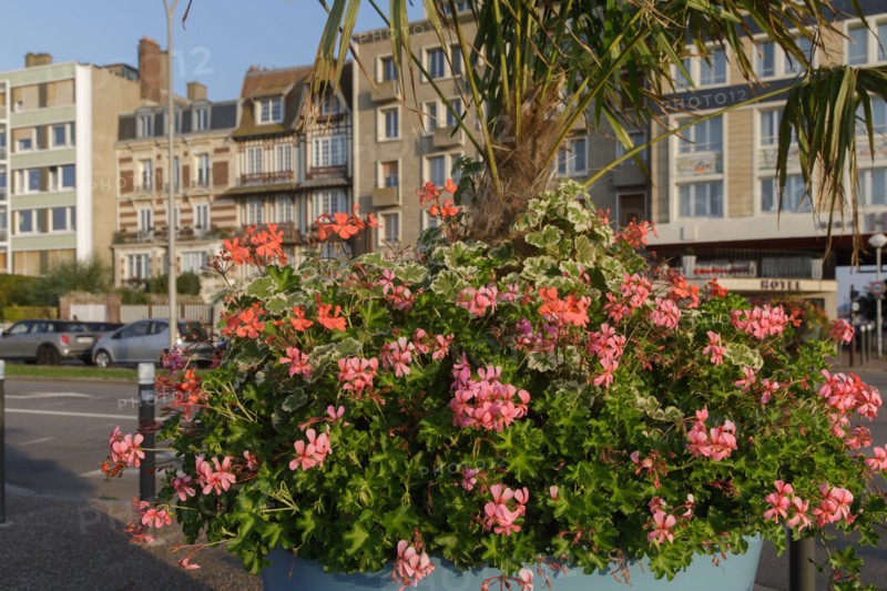 Dieppe, Seine-Maritime, France
