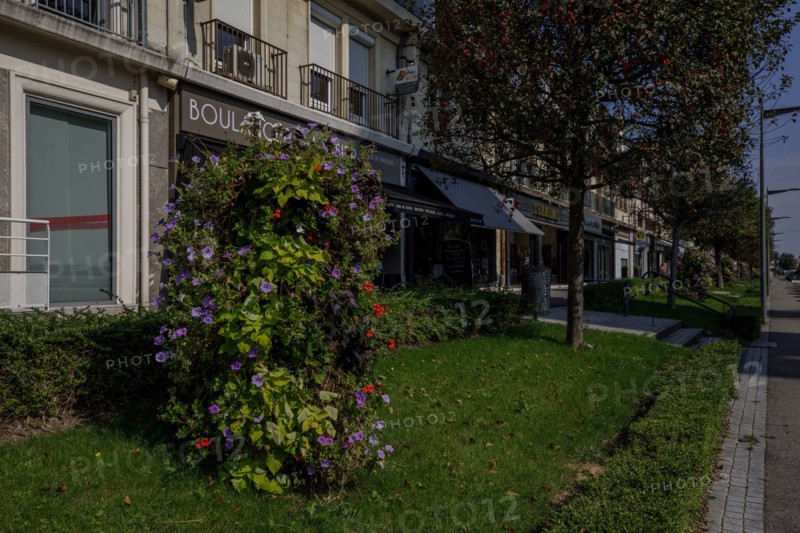 Yvetot, Seine-Maritime