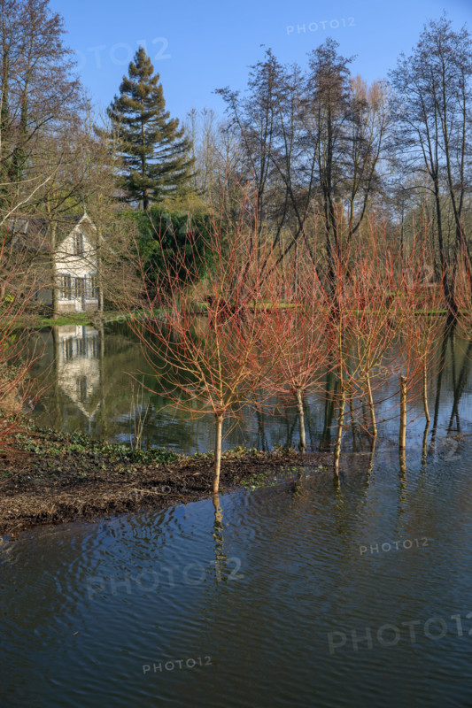Amiens, Somme