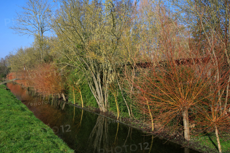 Amiens, Somme