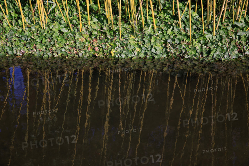 Amiens, Somme