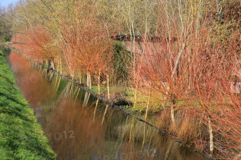 Amiens, Somme