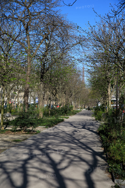 Paris, boulevard Pasteur