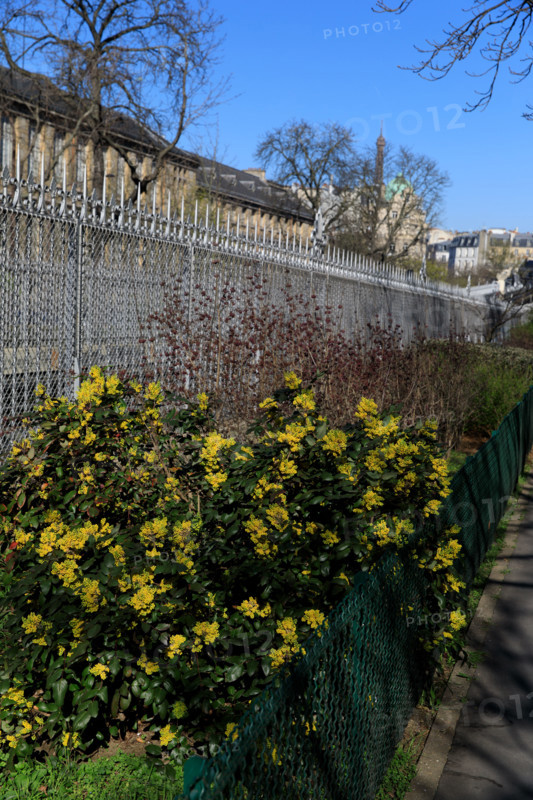 Paris, boulevard Pasteur