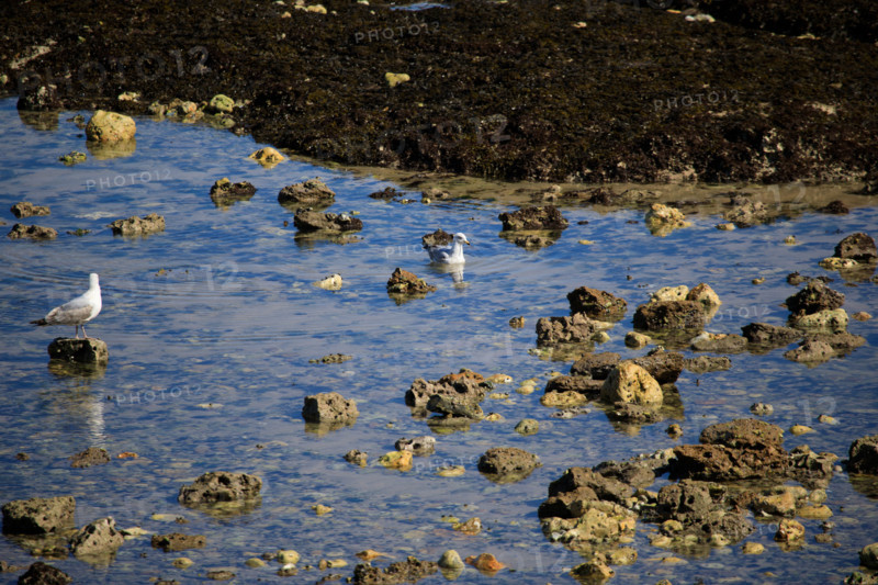 Yport, Seine-Maritime