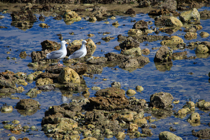 Yport, Seine-Maritime