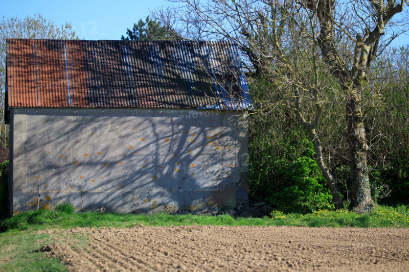 La Poterie-Cap d'Antifer, Seine-Maritime