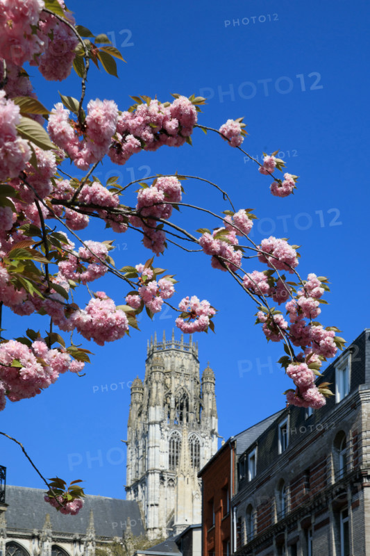 Rouen, Seine-Maritime