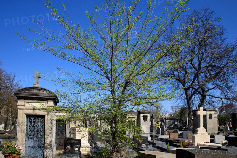 Paris, the Montparnasse Cemetery