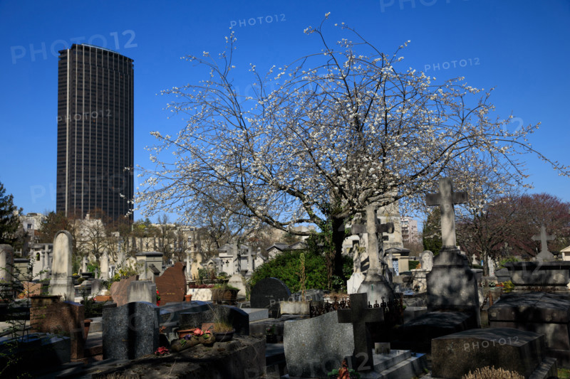 Paris, the Montparnasse Cemetery