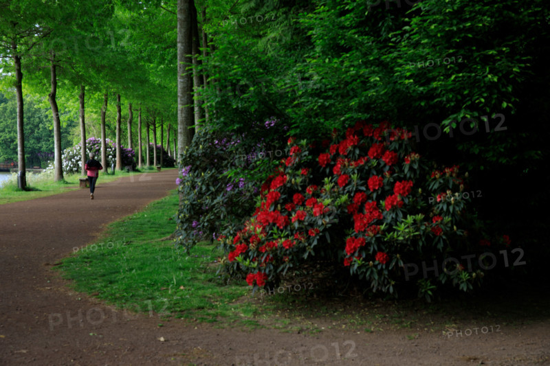 Flers, Orne, France