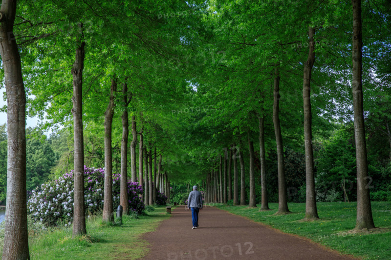 Flers, Orne, France