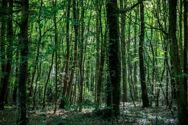 Flers, Orne, France