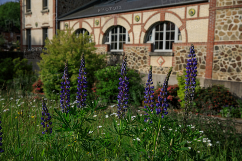 Flers, Orne, France