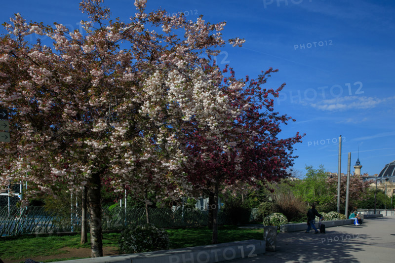 Paris, Jardin Nelson Mandela