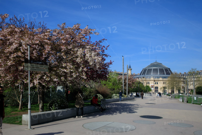 Paris, Jardin Nelson Mandela