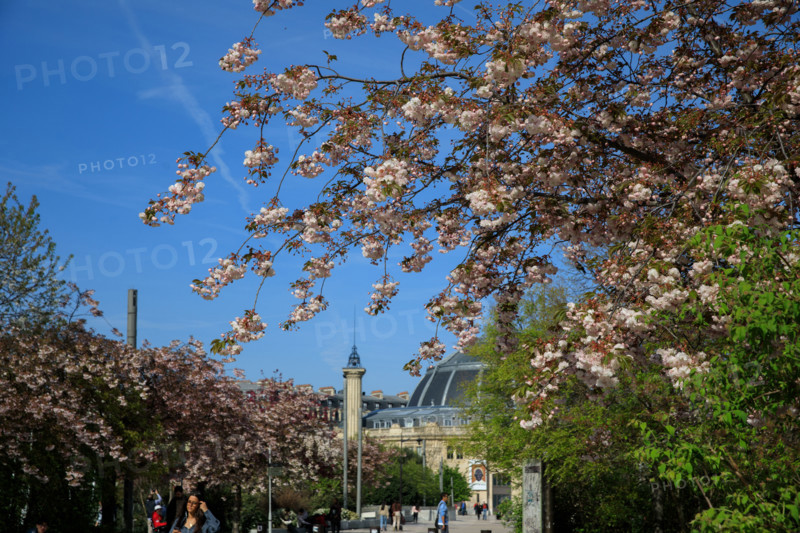Paris, Jardin Nelson Mandela