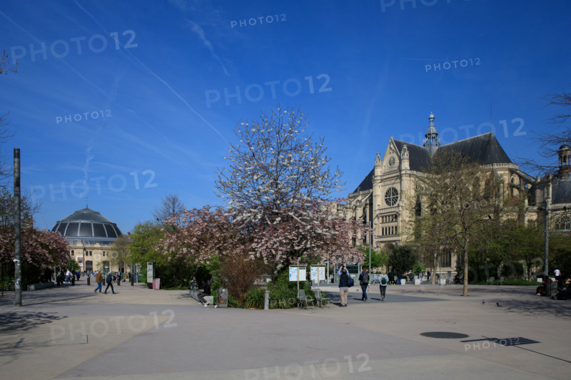 Paris, Jardin Nelson Mandela