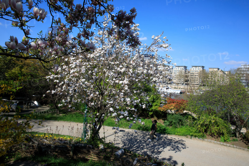 Paris, quai Saint-Bernard