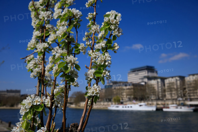 Paris, quai Saint-Bernard
