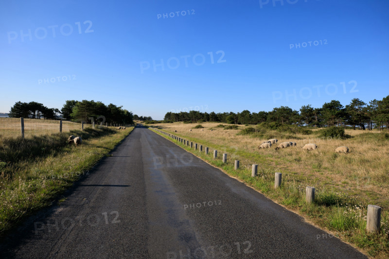 france, region Normandie, Manche, cotentin, Agon coutainville, pointe d'Agon,