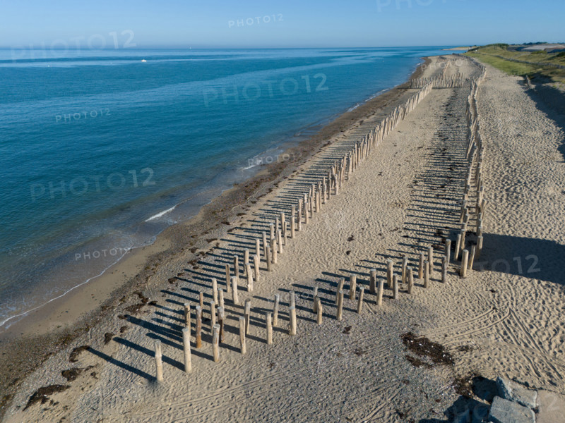 france, region Normandie, Manche, cotentin, Agon coutainville,, plage de la Poulette, babine,
