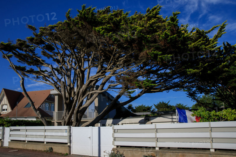 France, region Normandie, Manche, cotentin, Agon coutainville,  plage, rue dramad derriere la promenade de Chausey,