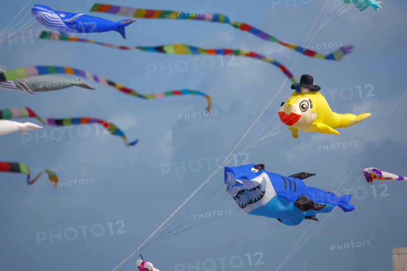 Dieppe, Dieppe International Kite Festival