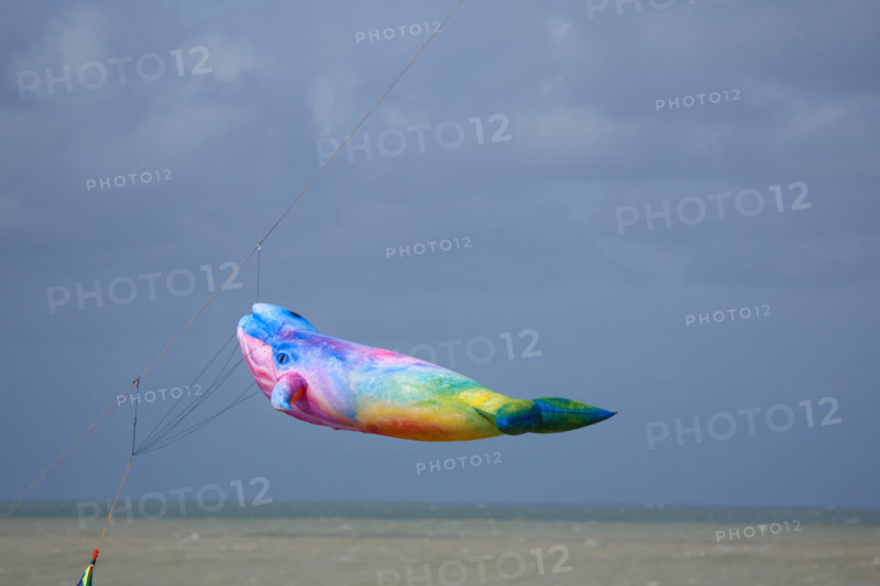 Dieppe, Dieppe International Kite Festival