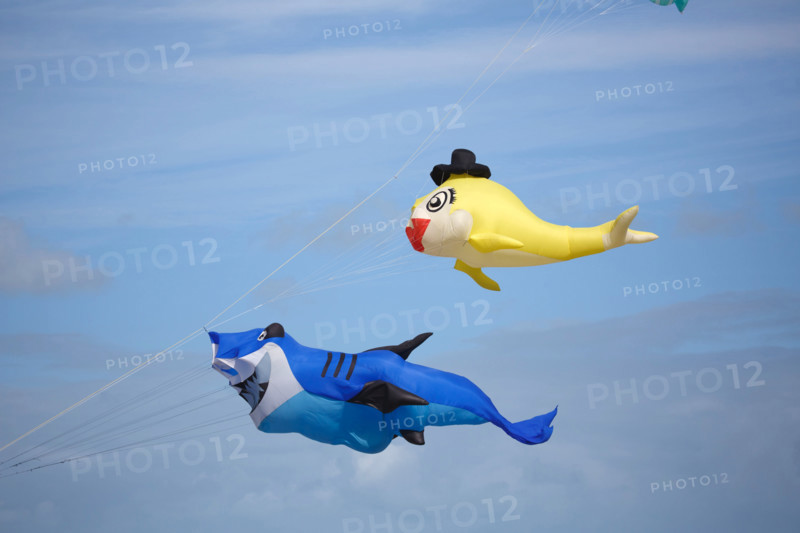 Dieppe, Dieppe International Kite Festival
