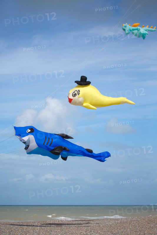 Dieppe, Dieppe International Kite Festival