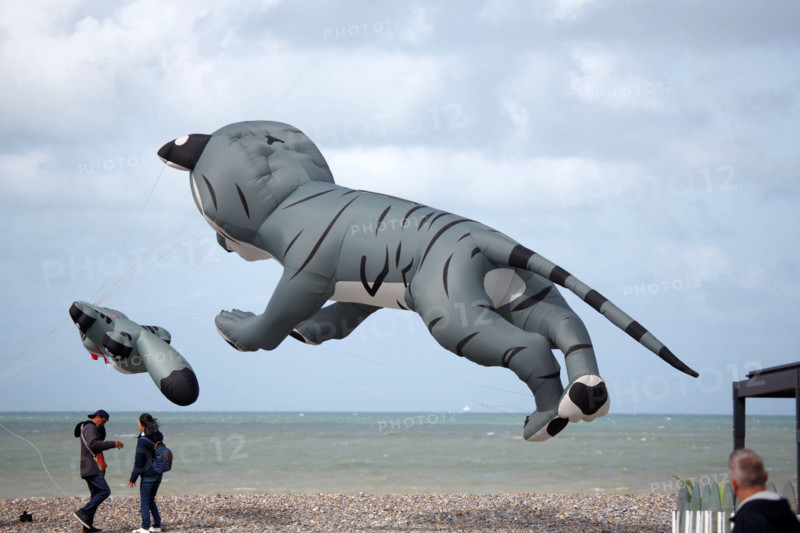 Dieppe, Festival international du cerf volant, édition 2025