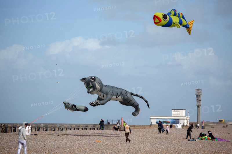 Dieppe, Festival international du cerf volant, édition 2025