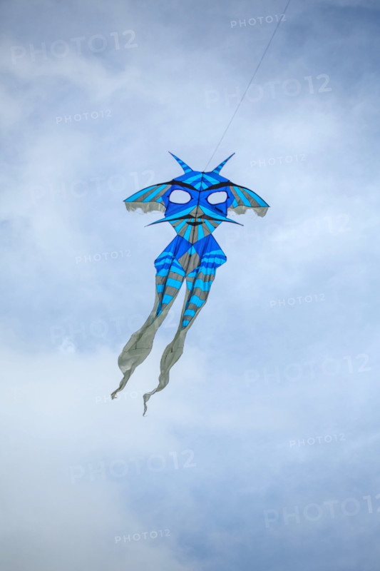 Dieppe, Festival international du cerf volant, édition 2025