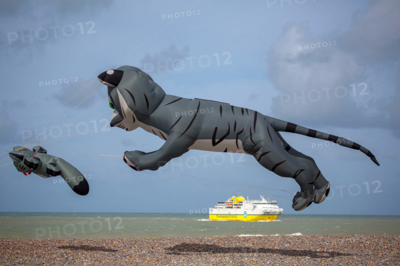 Dieppe, Dieppe International Kite Festival