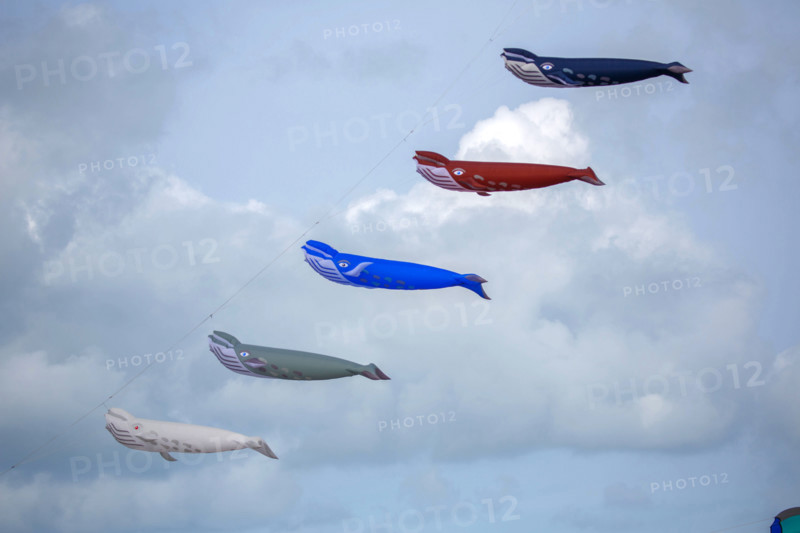 Dieppe, Dieppe International Kite Festival