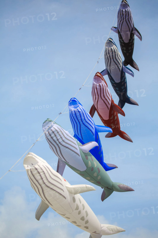Dieppe, Dieppe International Kite Festival