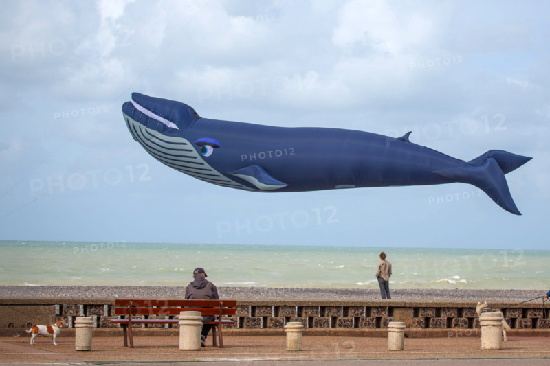 Dieppe, Dieppe International Kite Festival