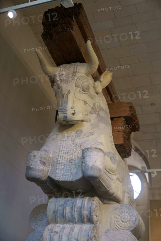 Paris, Musée du Louvre, Chapiteau de l'Apadana