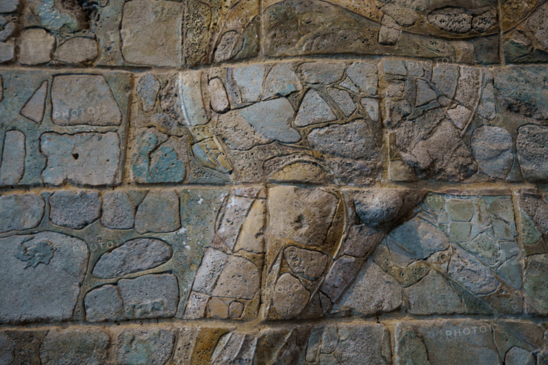Paris, Musée du Louvre, Frise des lions (détail)
