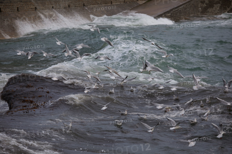 france region Bretagne, Finistère sud, Concarneau, grandes marées sur la corniche,