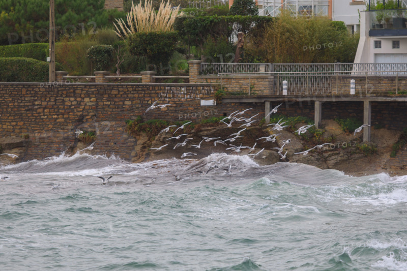 france region Bretagne, Finistère sud, Concarneau, grandes marées sur la corniche,