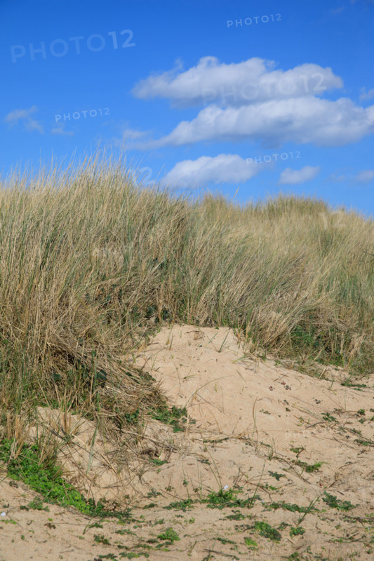 france, région Bretagne, Côtes d'Armor, côte de granit rose, Trégastel,, presqu'ile Renote,