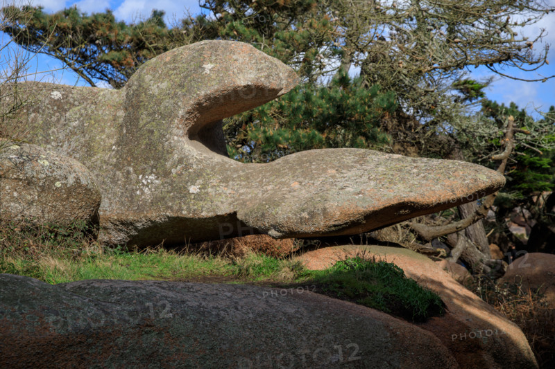 france, région Bretagne, Côtes d'Armor, côte de granit rose, Trégastel,, presqu'ile Renote,