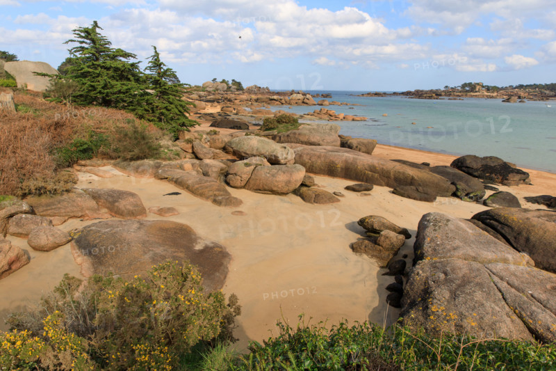 france, région Bretagne, Côtes d'Armor, côte de granit rose, Trégastel,, presqu'ile Renote,