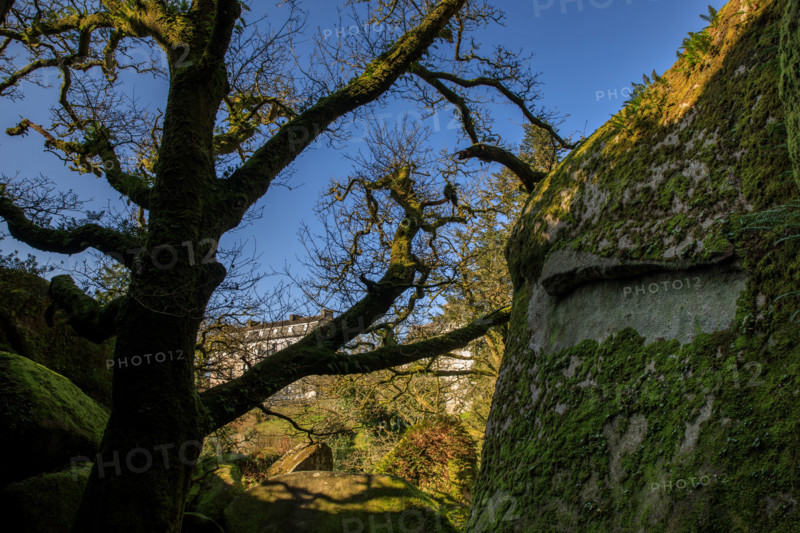FRance, région Bretagne, Finistère, Huelgoat, les rochers, cahos de huelgoat,