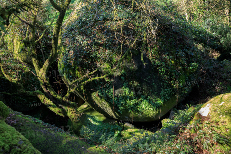 FRance, région Bretagne, Finistère, Huelgoat, les rochers, cahos de huelgoat,
