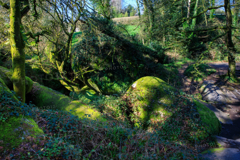 FRance, région Bretagne, Finistère, Huelgoat, les rochers, cahos de huelgoat,